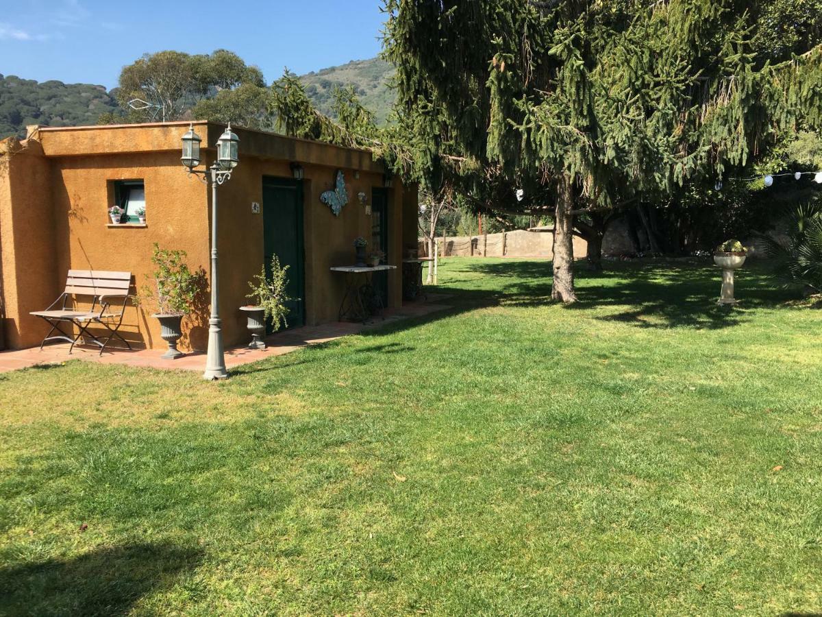 Hotel Masia Can Vive Cabrera de Mar Exterior photo